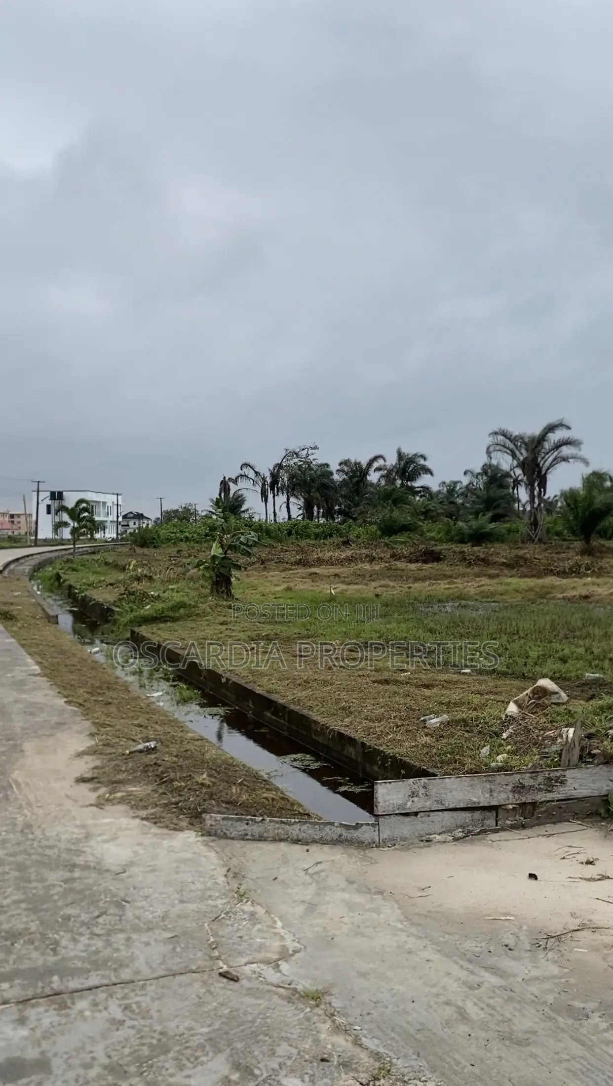 Land for Sale in Beechwood Estate ADIVA 111 in Elemoro