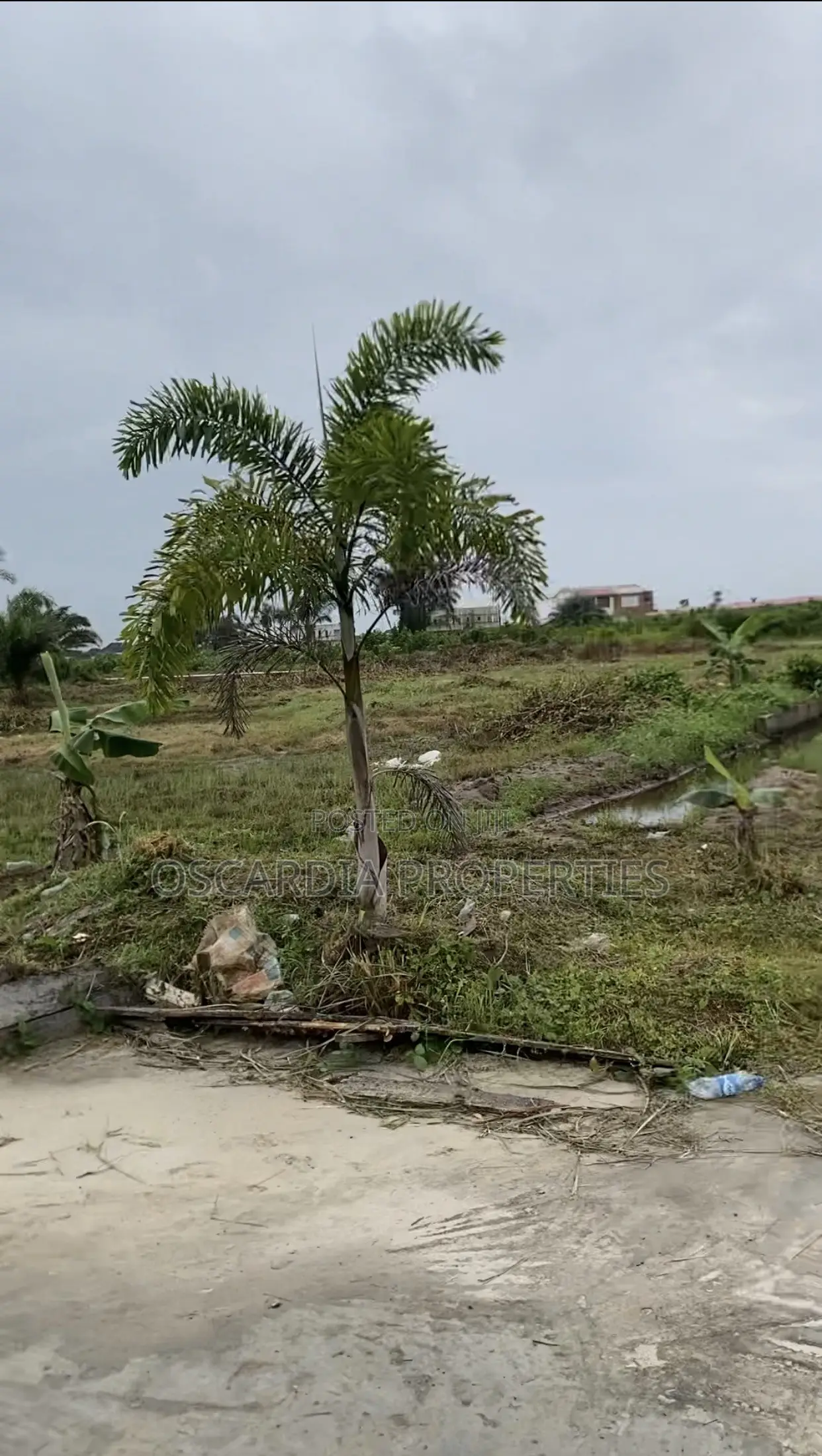 Land for Sale in Beechwood Estate ADIVA 111 in Elemoro