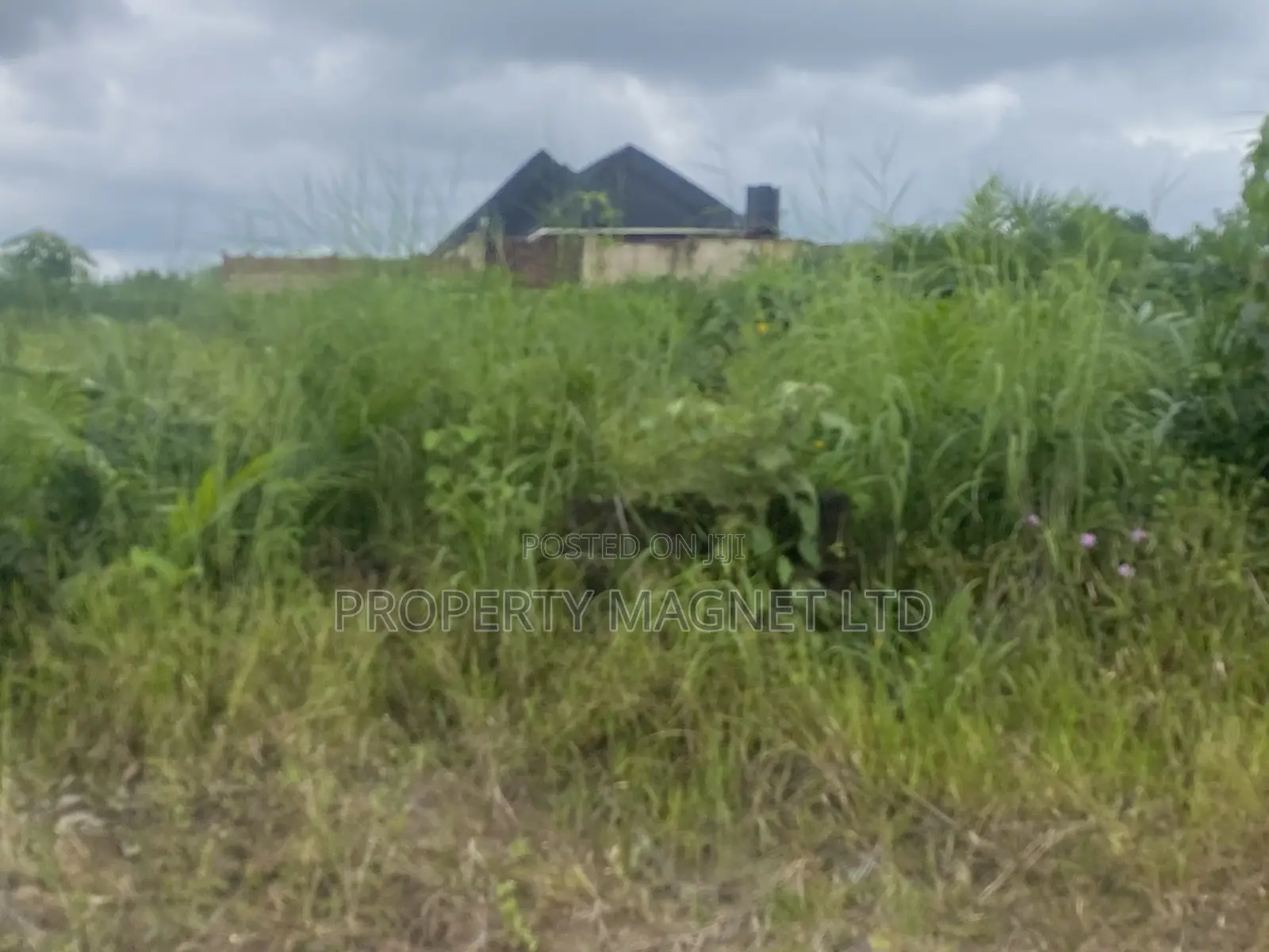 Plots of Land for Sale at the Back of New Government House Umuahia in Umuahia