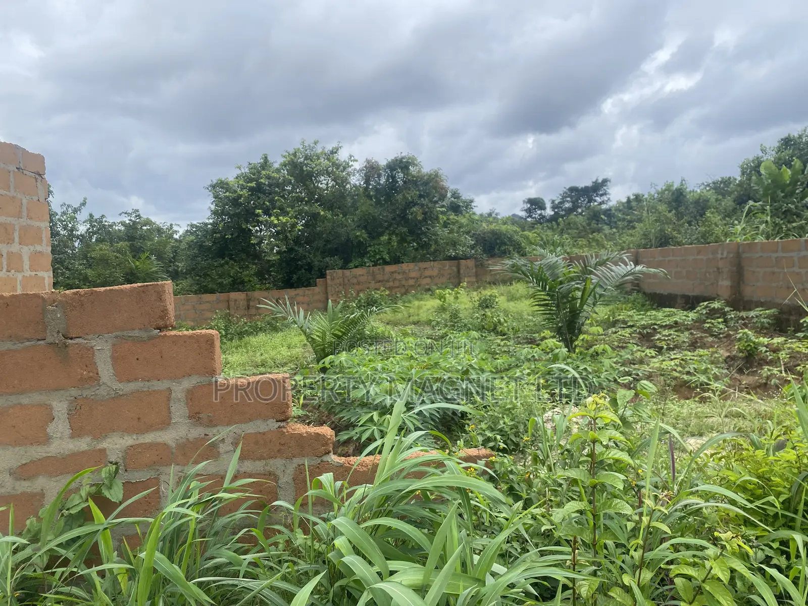 75 Plots of Land for Sale in Umuahia (Bulk Deal) in Umuahia
