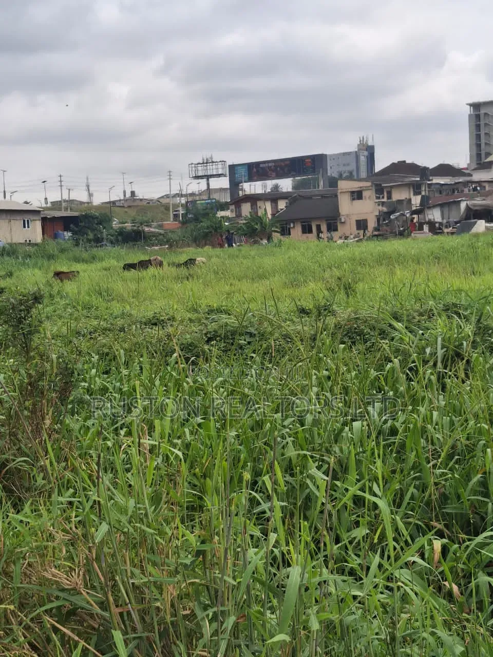 Prime Commercial Land in Opebi