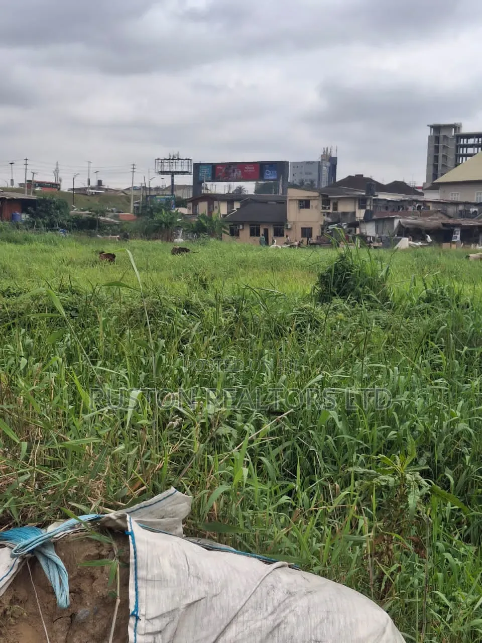 Prime Commercial Land in Opebi
