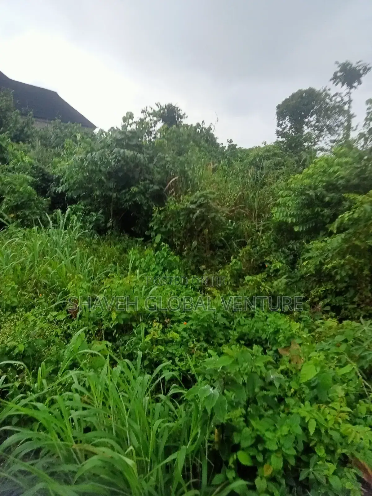 Land for Sale at Arobieye Ajibola Farm in Ado-Odo/Ota