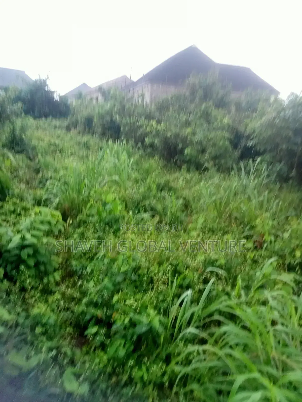 Land for Sale at Arobieye Ajibola Farm in Ado-Odo/Ota