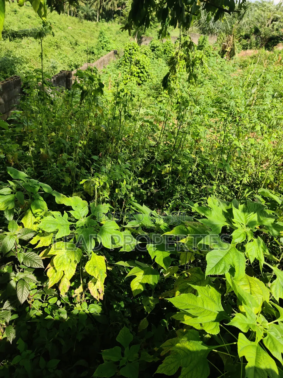 2 Plots of Land for at GRA Ondo in Ondo / Ondo State