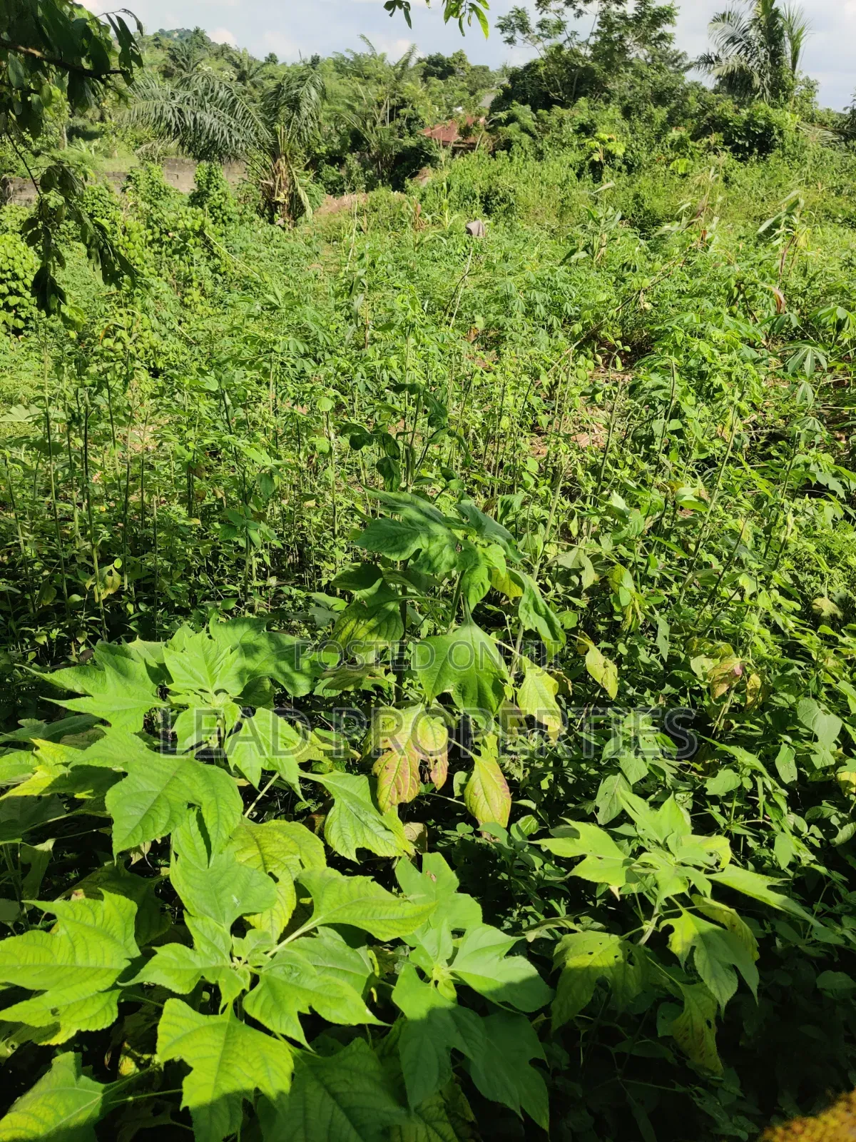 2 Plots of Land for at GRA Ondo in Ondo / Ondo State