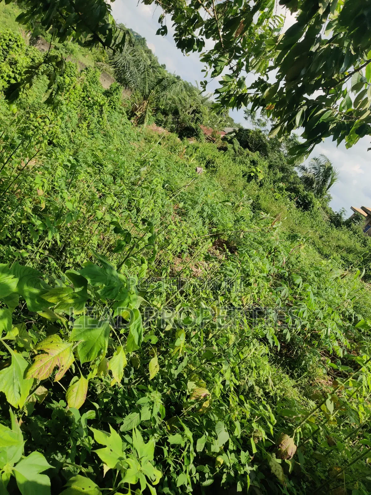 2 Plots of Land for at GRA Ondo in Ondo / Ondo State
