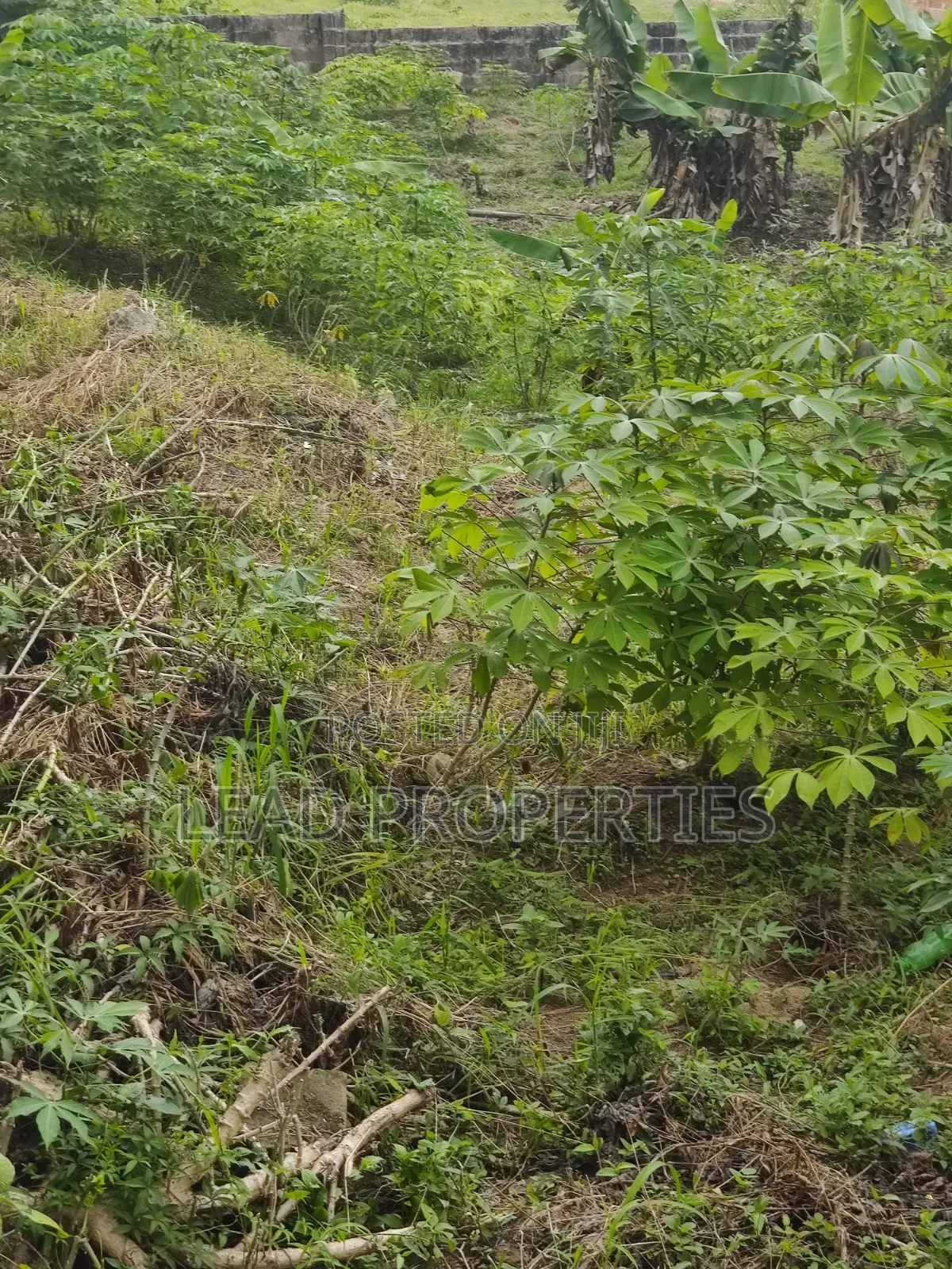 3 Plots of Land for Sale at UNIMED Permanent Site Ondo in Ondo / Ondo State