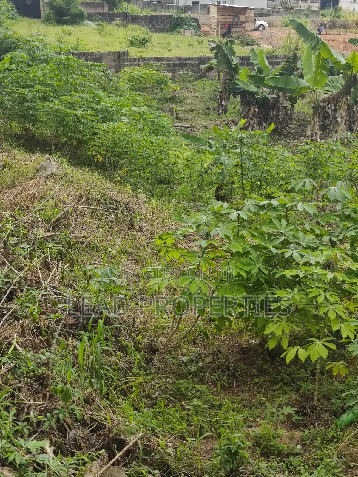 3 Plots of Land for Sale at UNIMED Permanent Site Ondo in Ondo / Ondo State