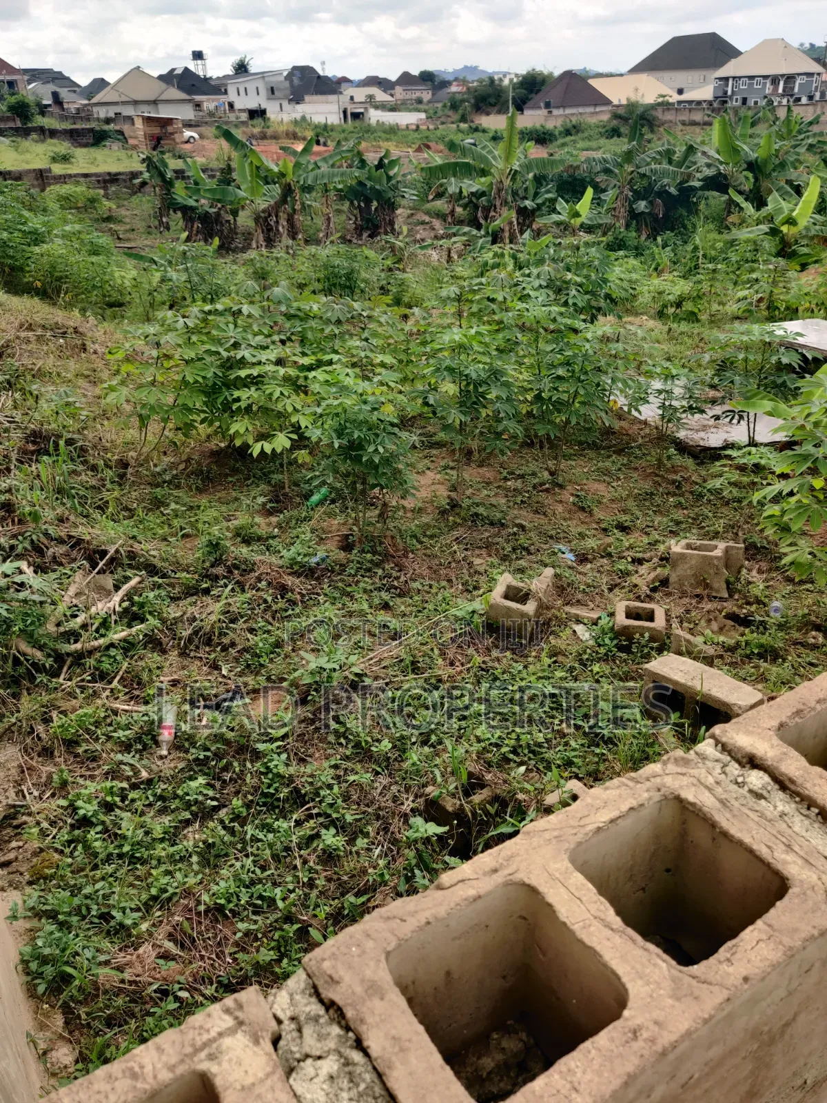 3 Plots of Land for Sale at UNIMED Permanent Site Ondo in Ondo / Ondo State