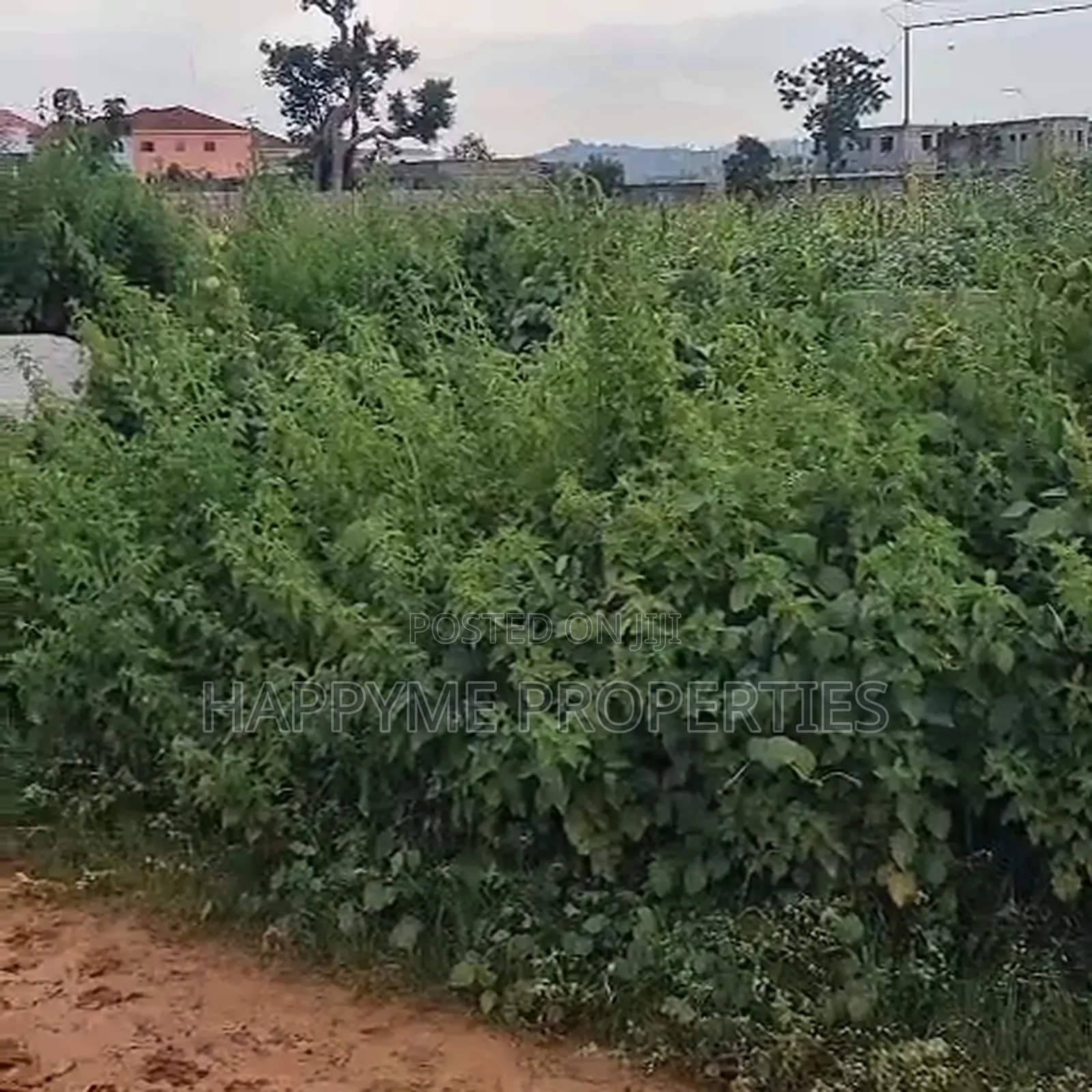 Prime Land for Sale | Katampe Main, Abuja in Katampe (Main)