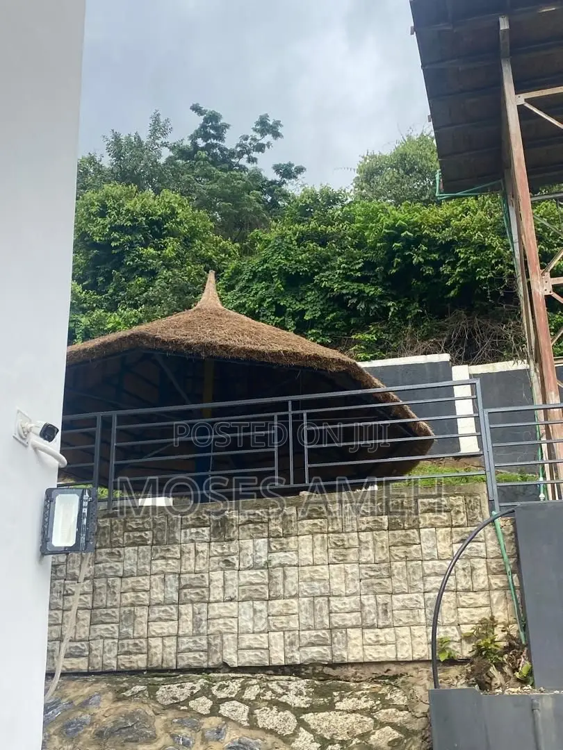 Furnished 2bdrm Block of Flats in Asokoro for rent in Asokoro