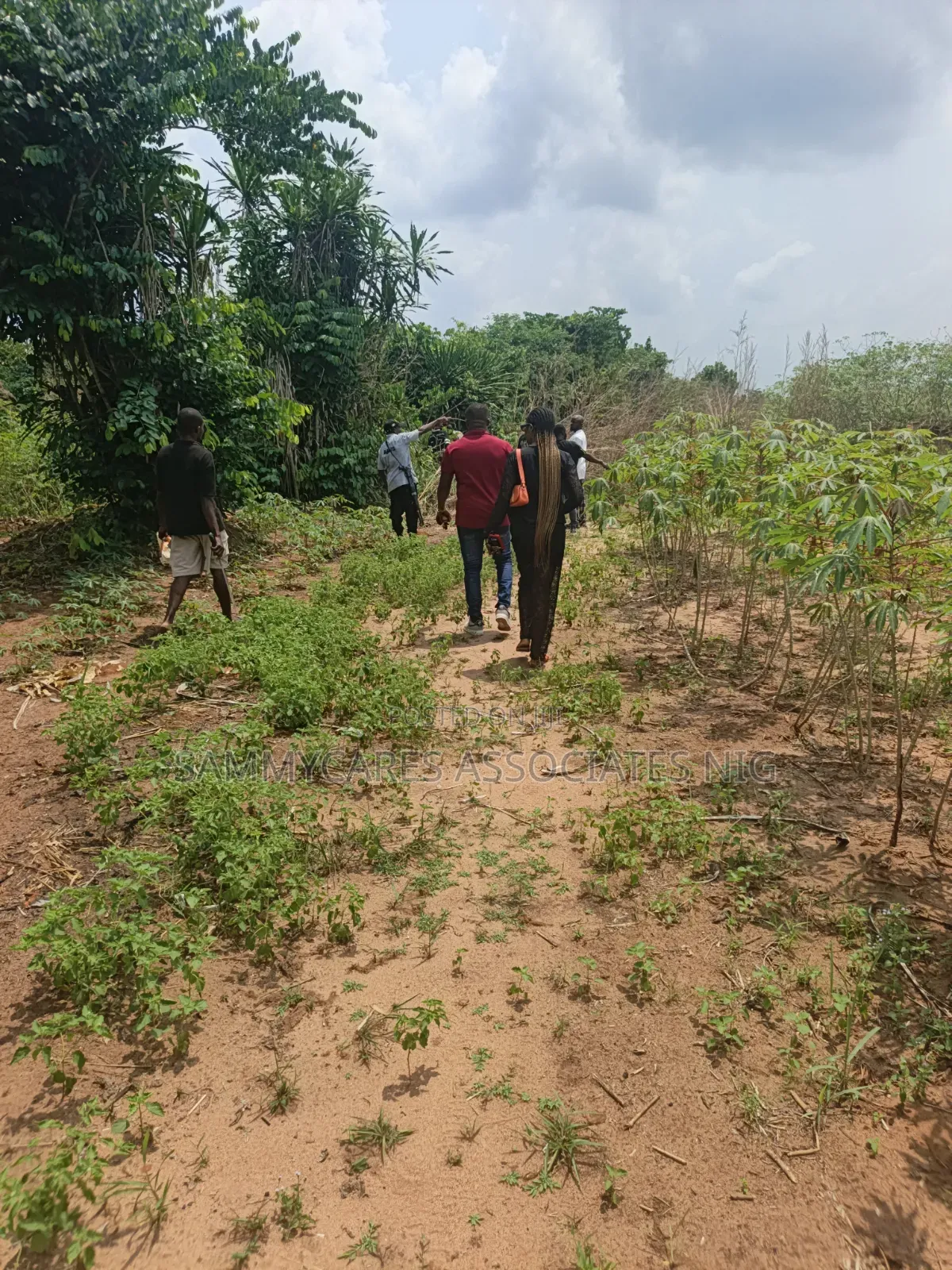 Landed Property for Sale Obosima Owerri Imo State in Owerri