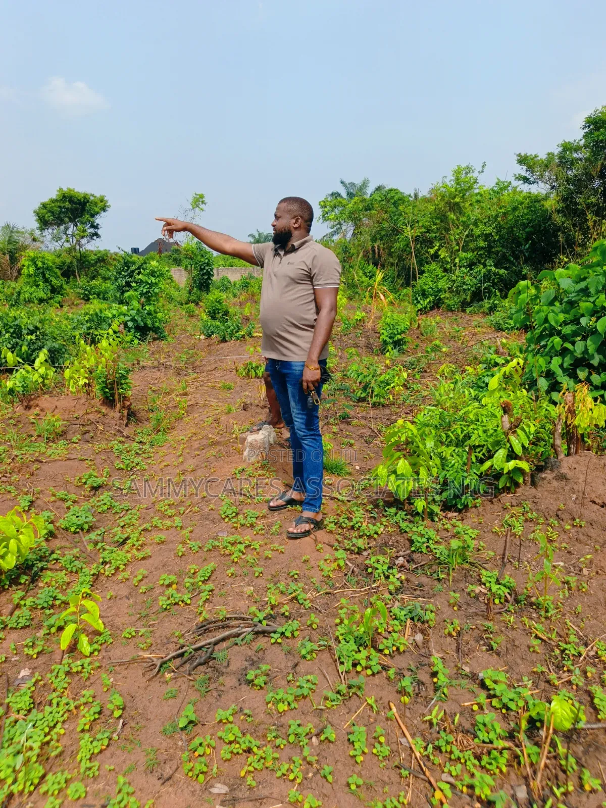 Landed Property for Sale Obosima Owerri Imo State in Owerri