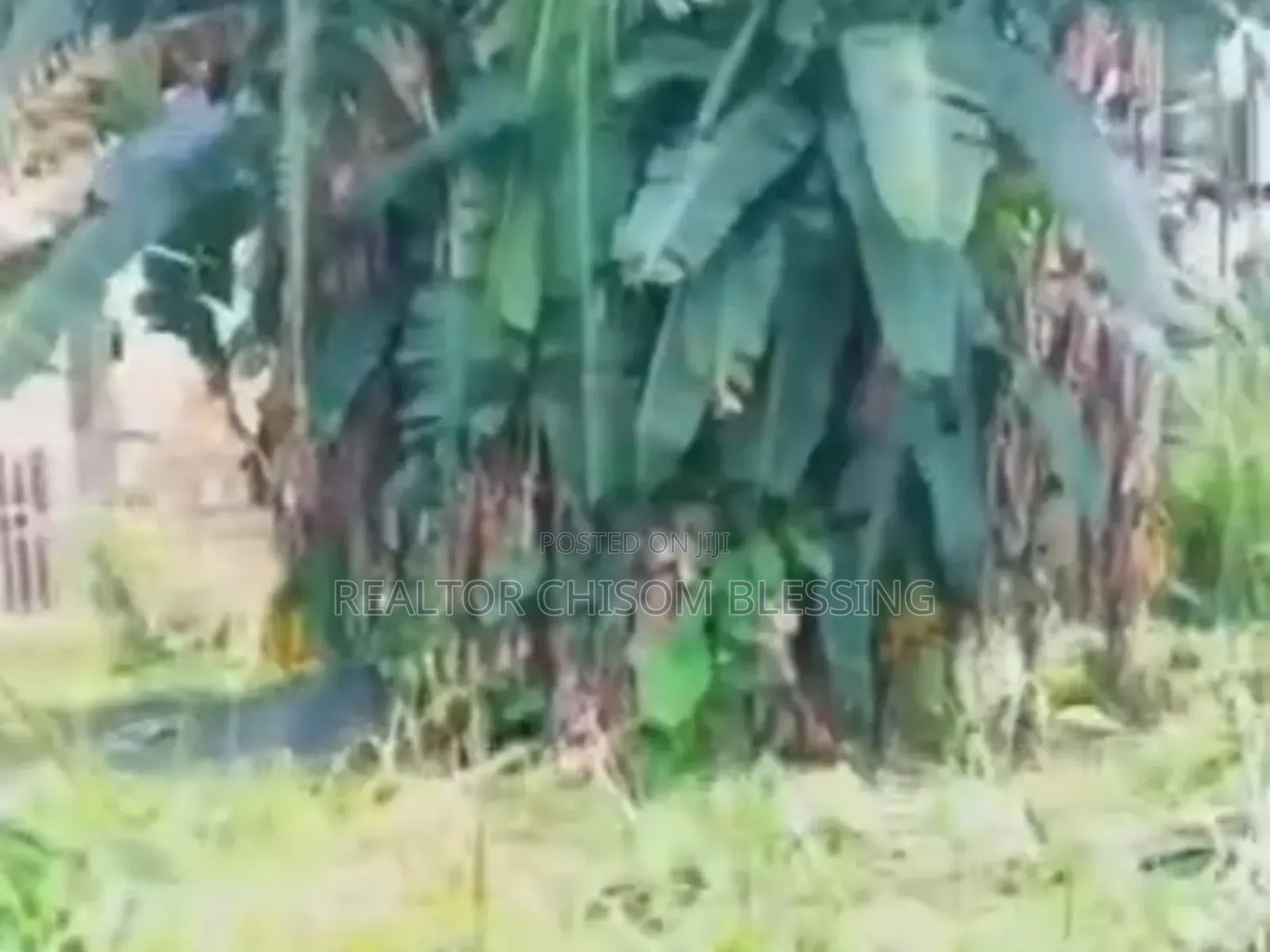 1 Prime Plot for Sale in Ehimmiri Housing Estate, Umuahia in Umuahia