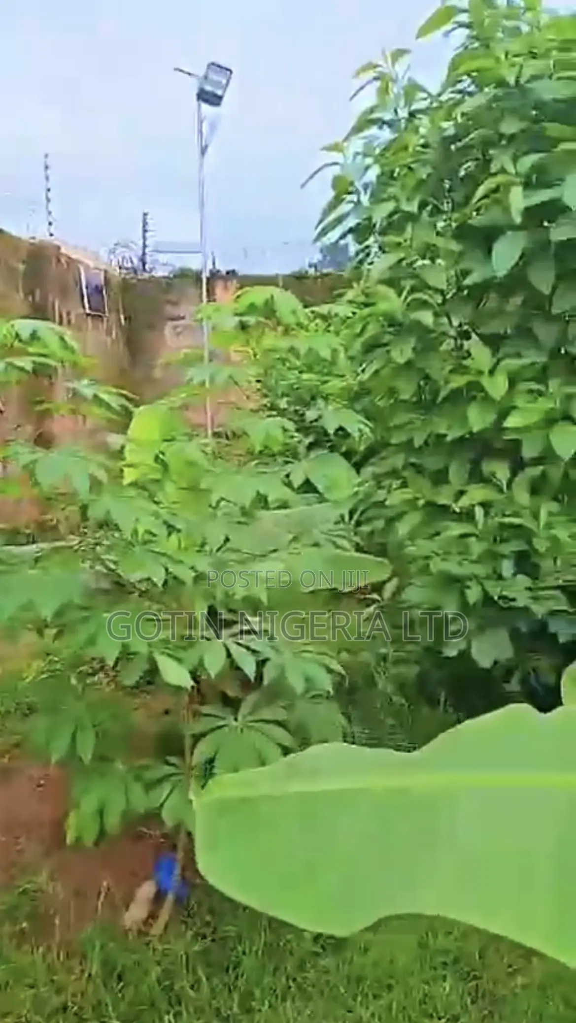 50×100ft Fenced/Gated Plot in Okun, Off Lagos-Benin Expressway in Benin City