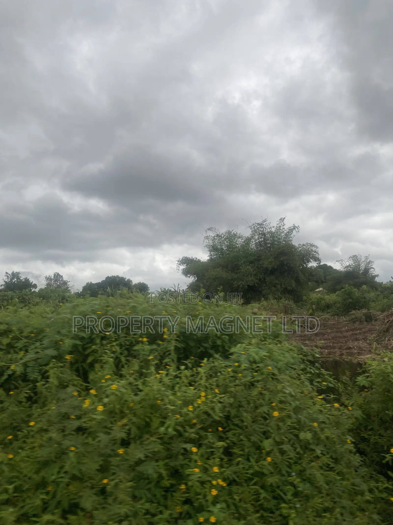 1 Plot at Lodu Ibeku for Distress Sale in Umuahia