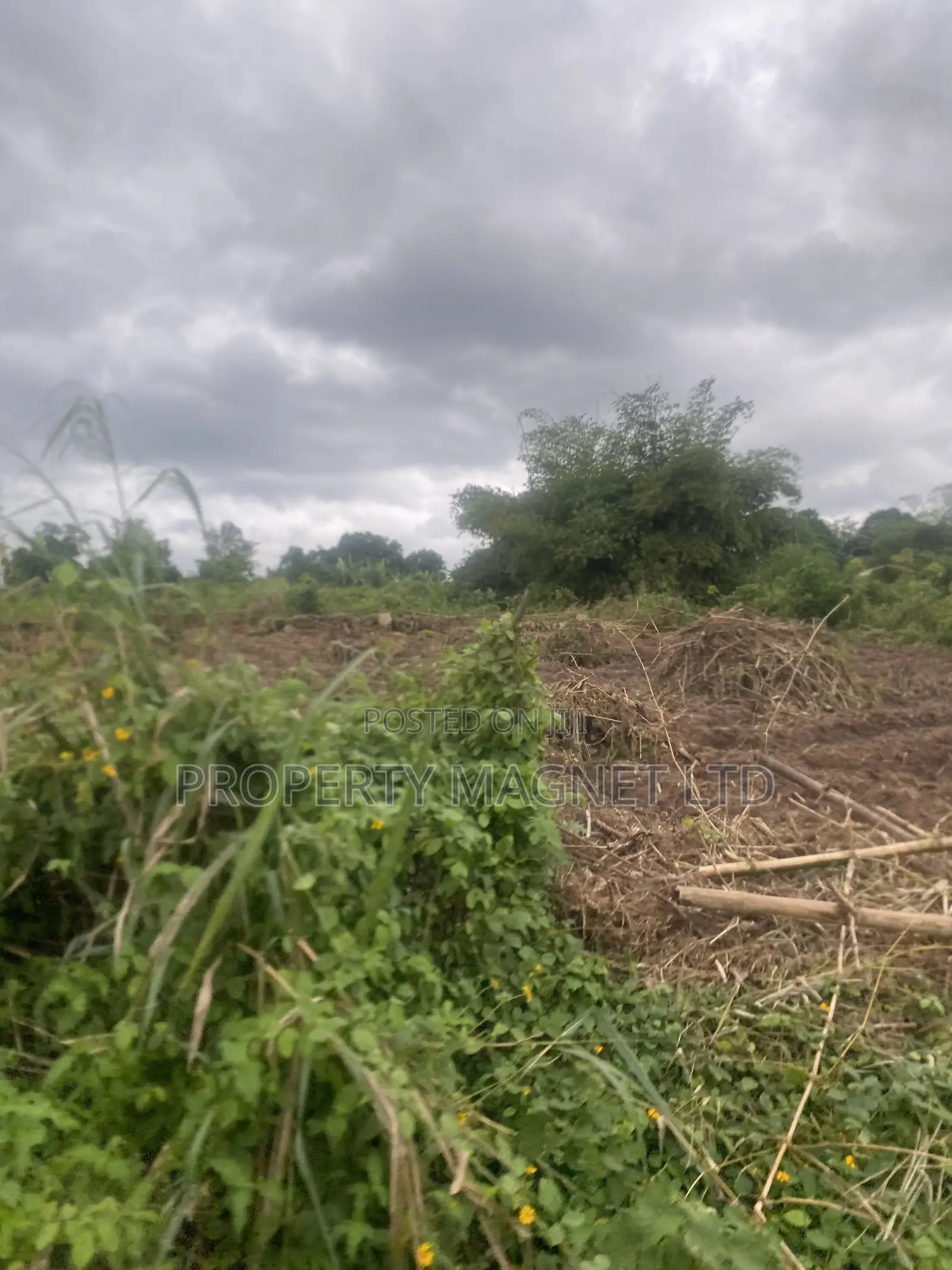 1 Plot at Lodu Ibeku for Distress Sale in Umuahia