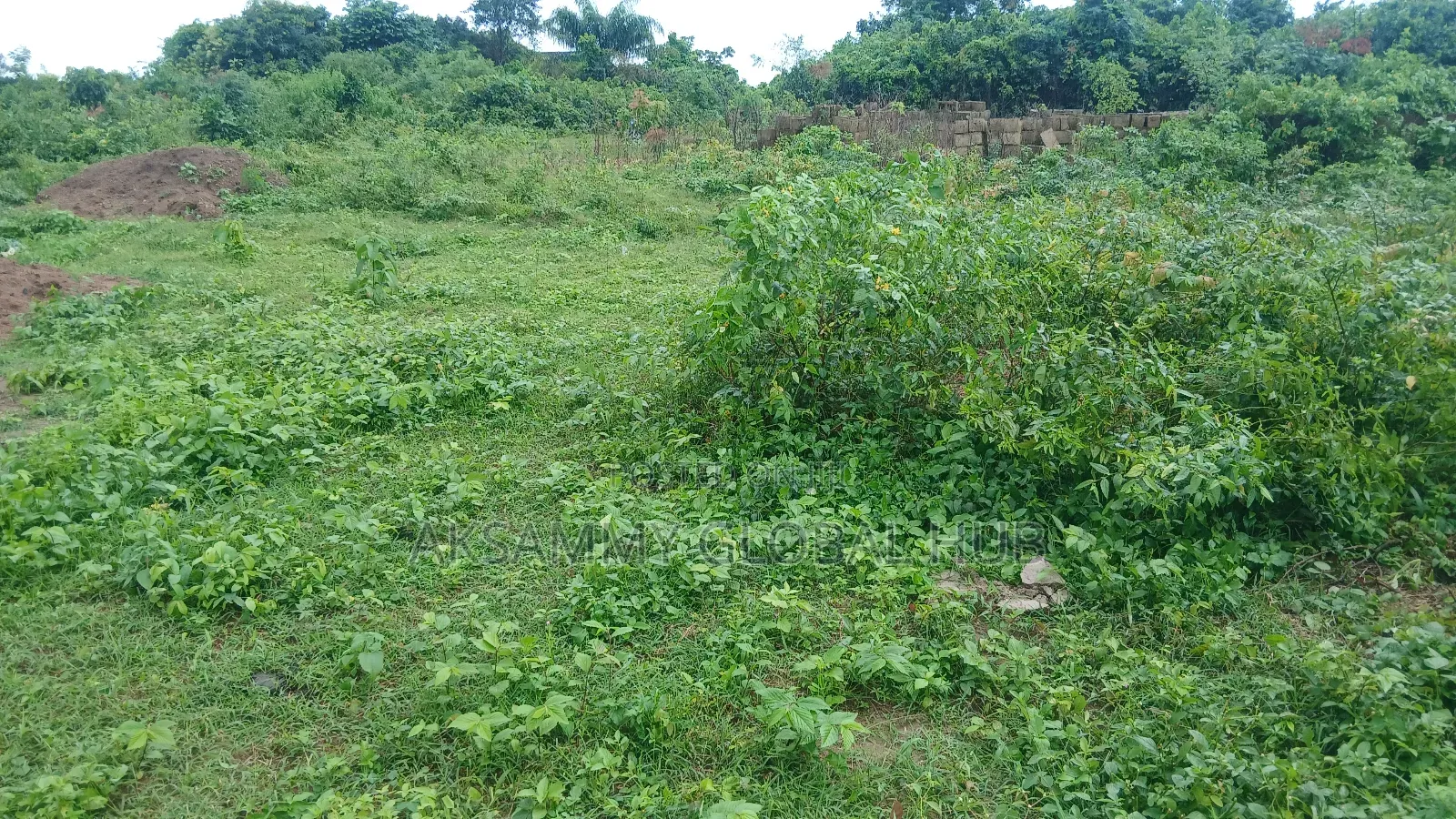 Distress Sale. 502 SQM Land at Moniya in Moniya
