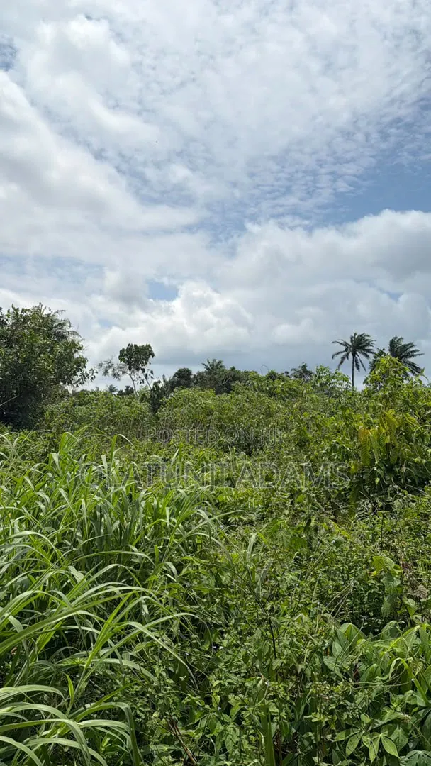 70acres of Land at Ilesa in Osogbo