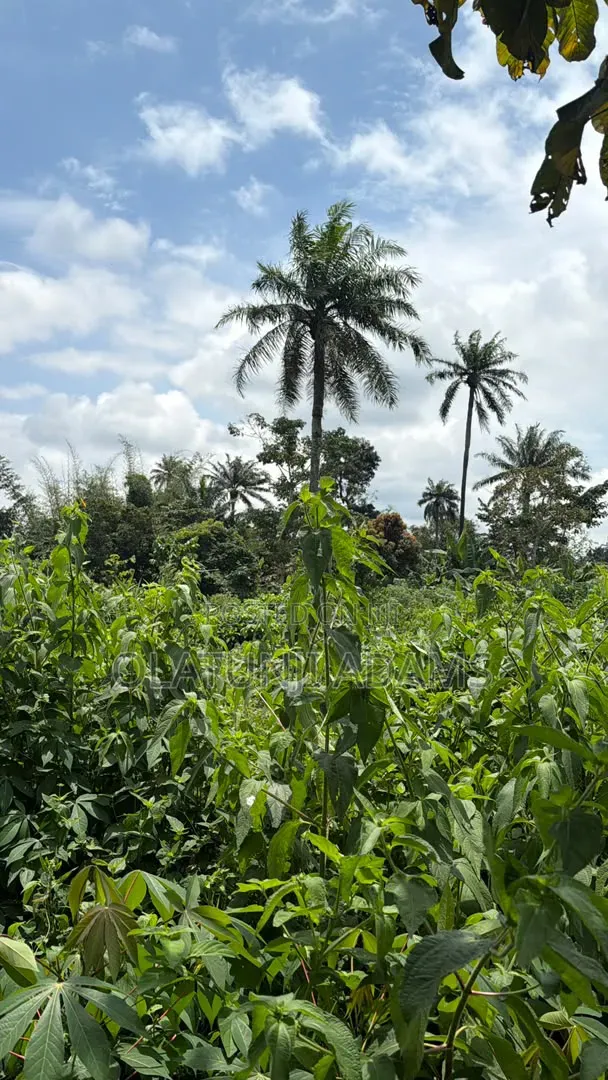 70acres of Land at Ilesa in Osogbo