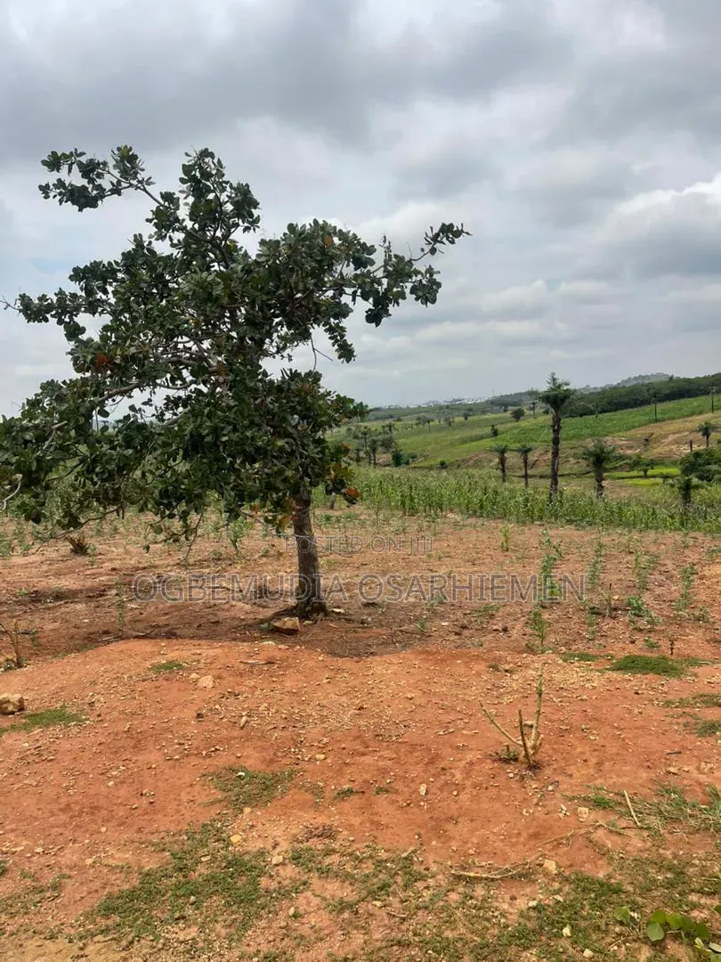 250sqm Estate Land for 4 Bedroom Semi-Detached Duplex With CofO in Wasa