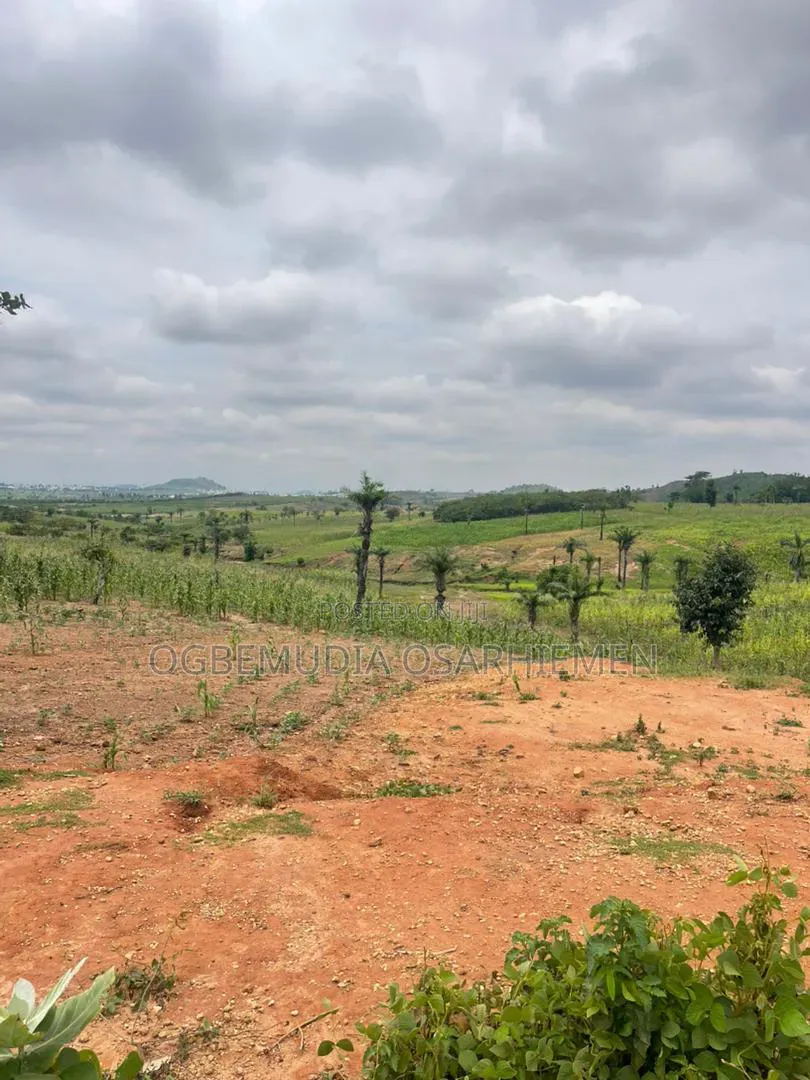 250sqm Estate Land for 4 Bedroom Semi-Detached Duplex With CofO in Wasa