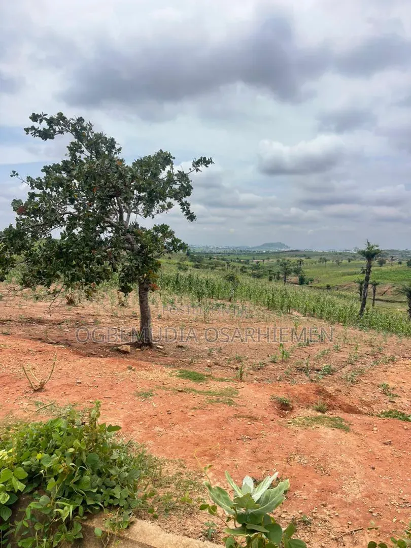 250sqm Estate Land for 4 Bedroom Semi-Detached Duplex With CofO in Wasa