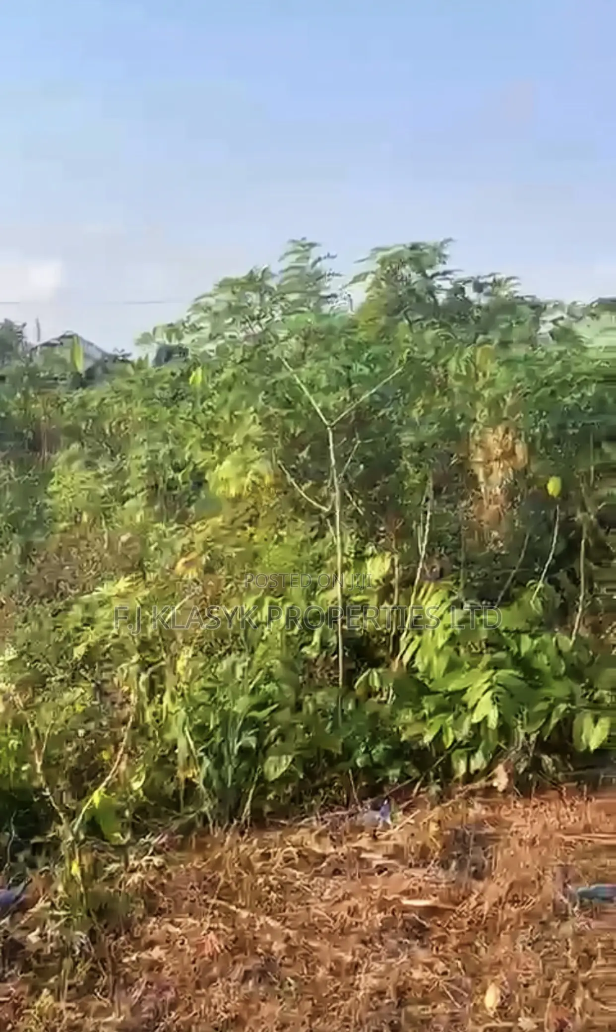 50ft/100ft Land for Sale in Benin City