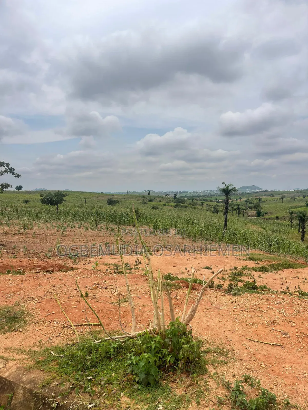 1000sqm Estate Land for 6 Units of 3 Bedroom Block of Flats With CofO in Wasa