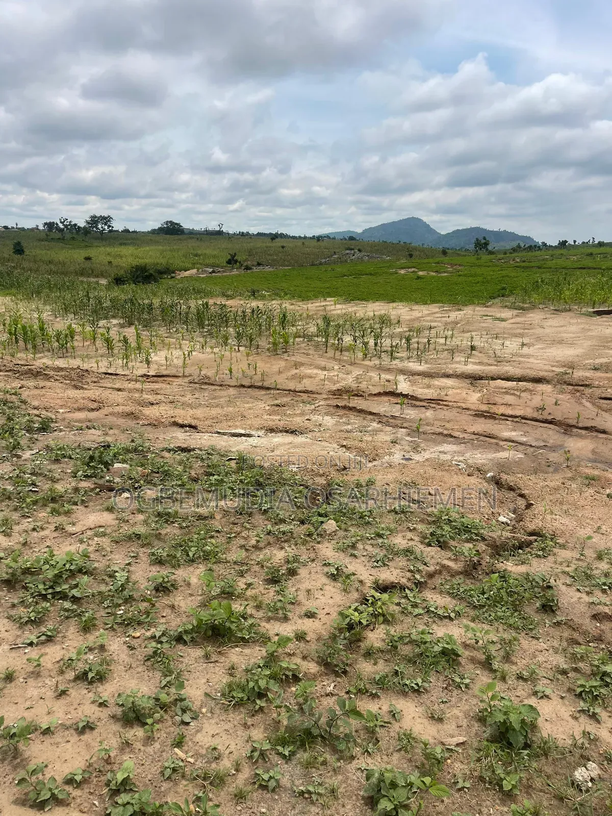 1000sqm Estate Land for 6 Units of 3 Bedroom Block of Flats With CofO in Wasa
