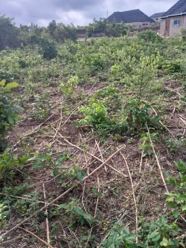 Strategic 4 Plot of Land for Sale in Ido