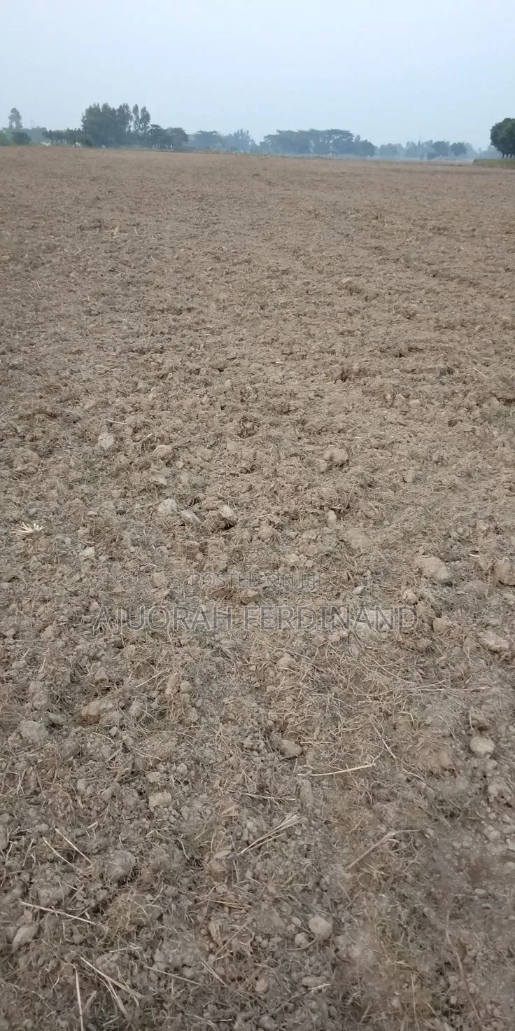 Distress Sale of One Plot of Land in Enugu