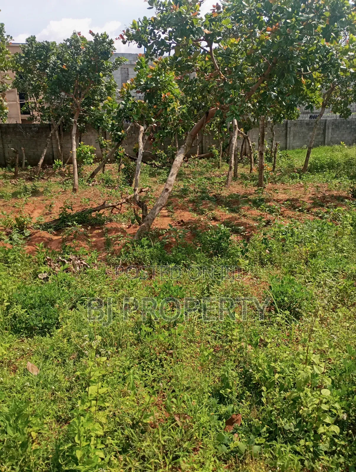 Buidable 800sqm Land for Sale F O 1 Pension Board in Kubwa