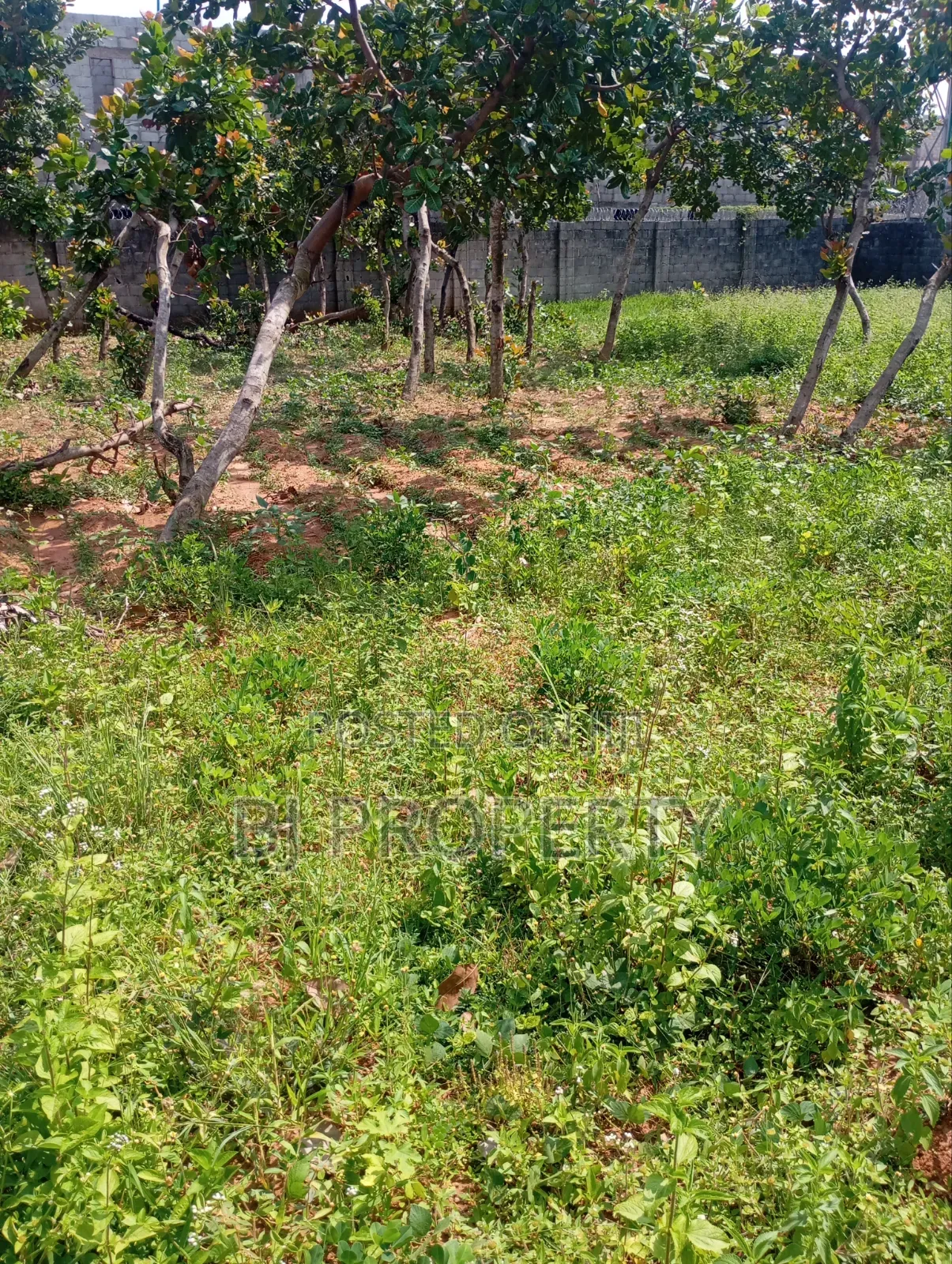 Buidable 800sqm Land for Sale F O 1 Pension Board in Kubwa
