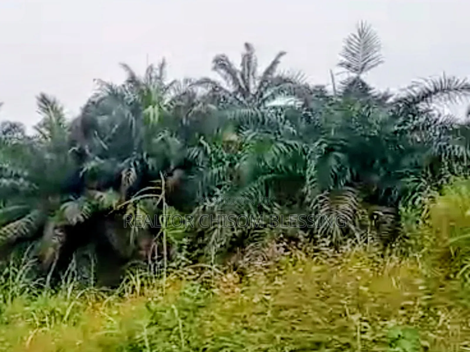 2 Plots for Sale at Abia Tower, Umuahia in Umuahia