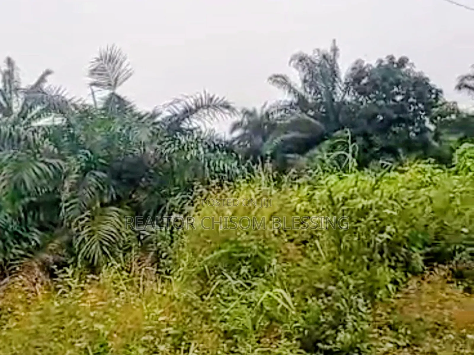 2 Plots for Sale at Abia Tower, Umuahia in Umuahia