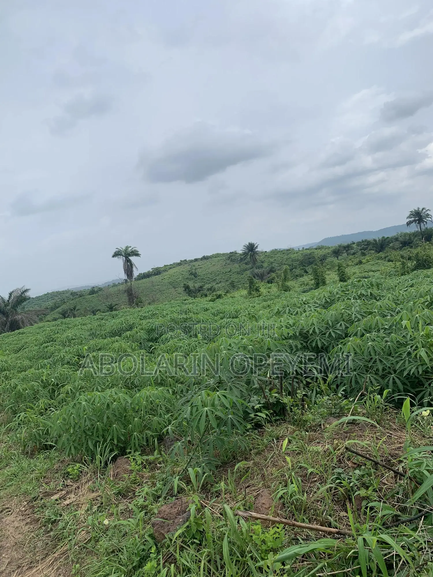 10 Acres of Land for Sale at Mile 8 Opp University of Medical Sciences in Abeokuta South
