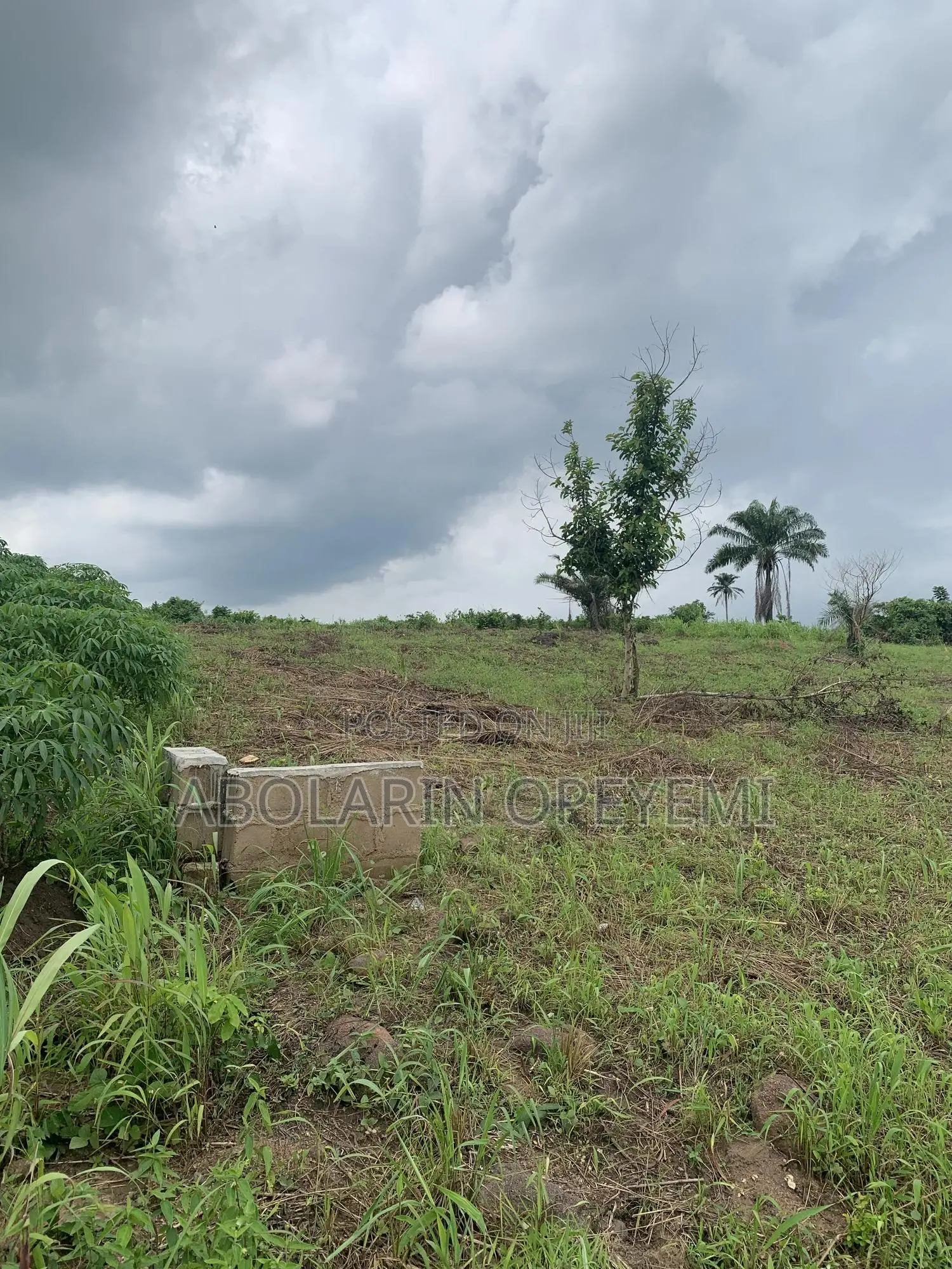 10 Acres of Land for Sale at Mile 8 Opp University of Medical Sciences in Abeokuta South