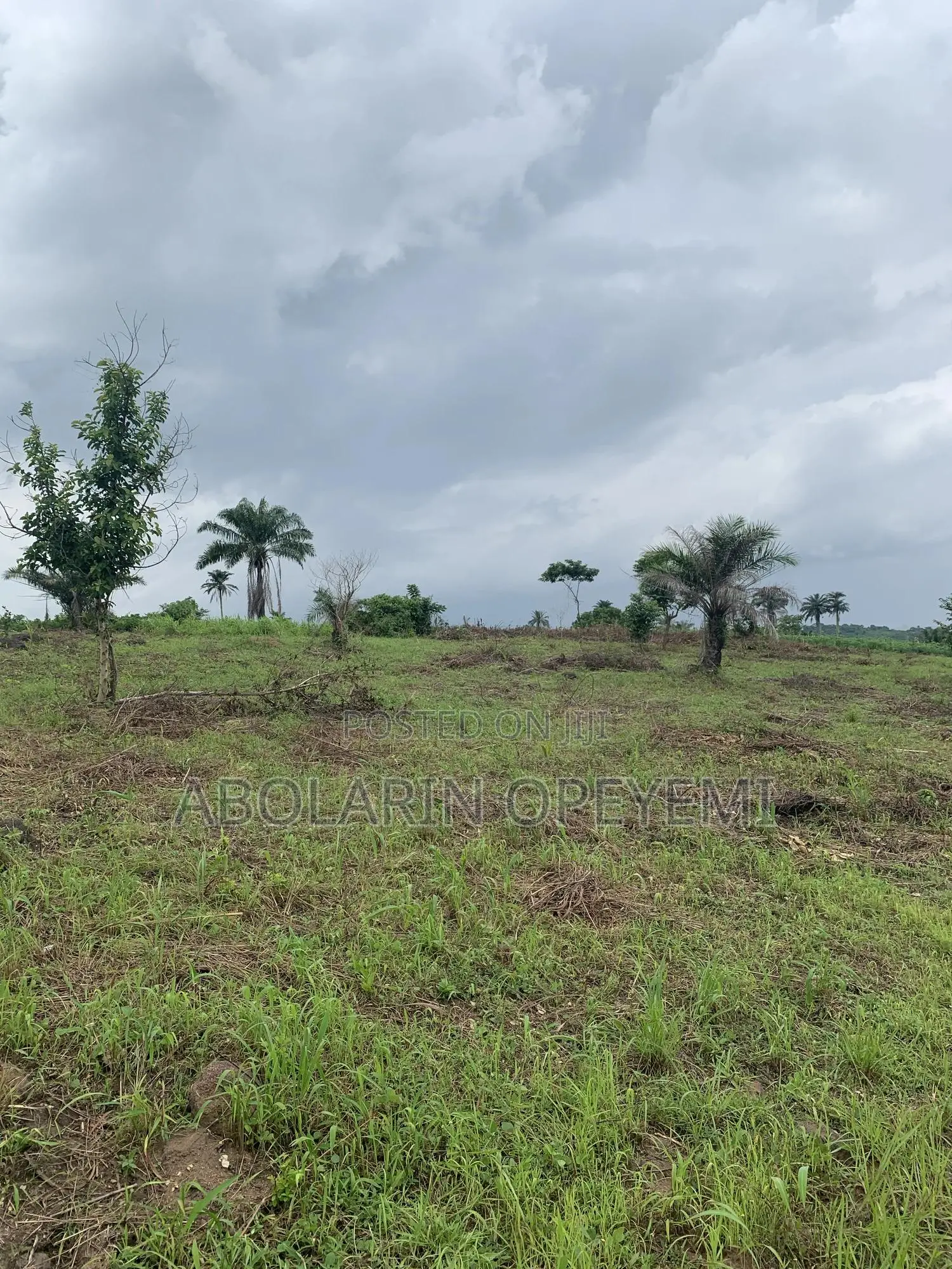 10 Acres of Land for Sale at Mile 8 Opp University of Medical Sciences in Abeokuta South