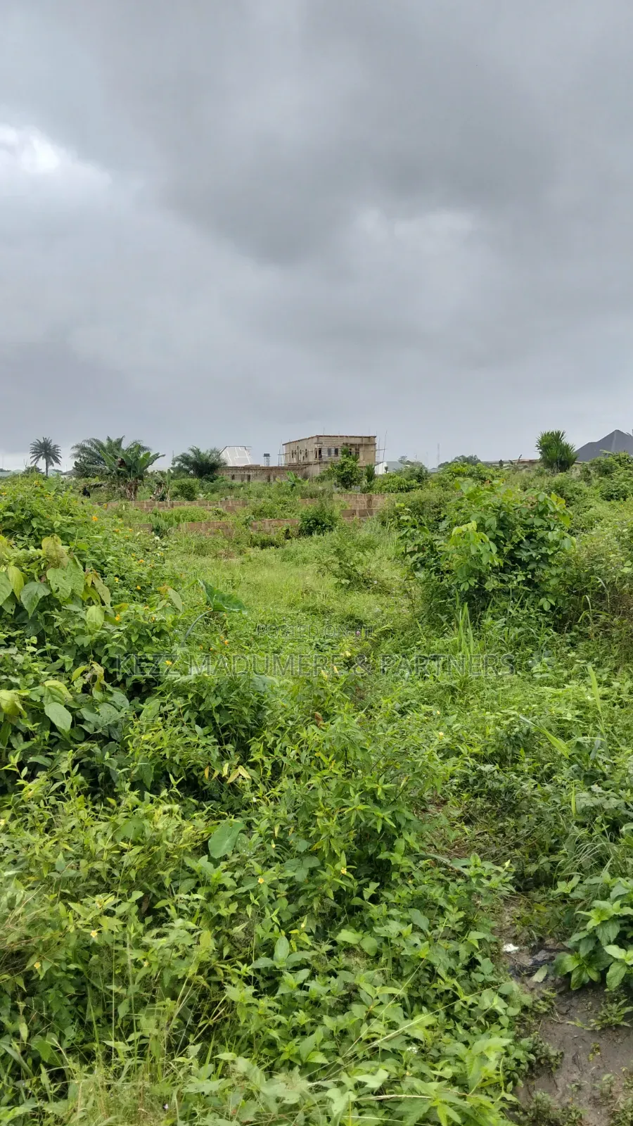 For Sale : 4 1⁄2 Plots Aba Owerri Road Naze Owerri in Owerri