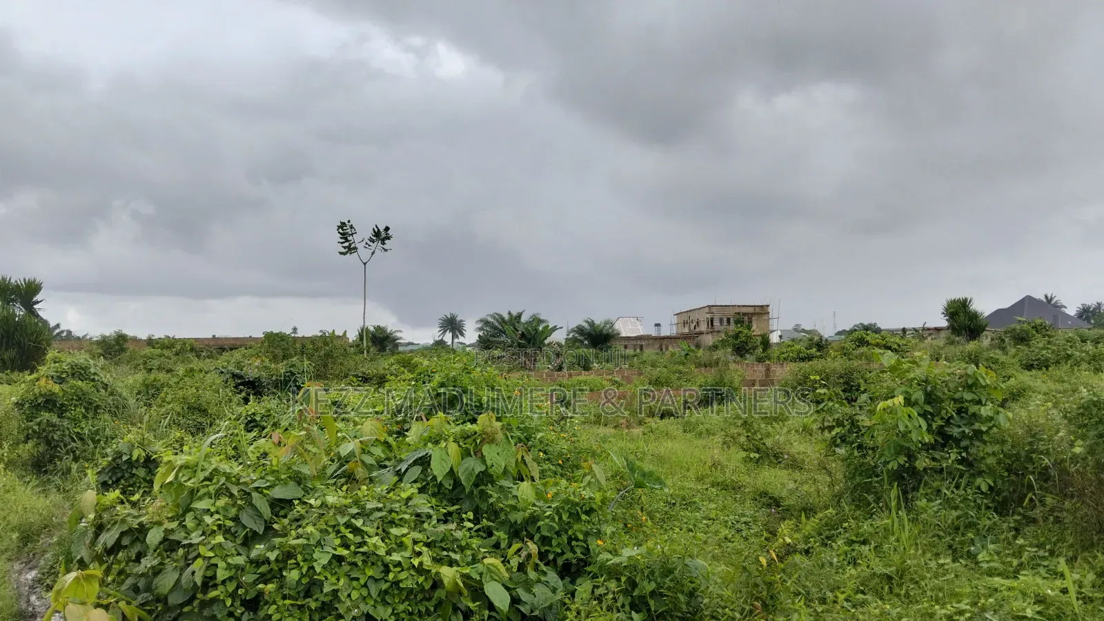 For Sale : 4 1⁄2 Plots Aba Owerri Road Naze Owerri in Owerri