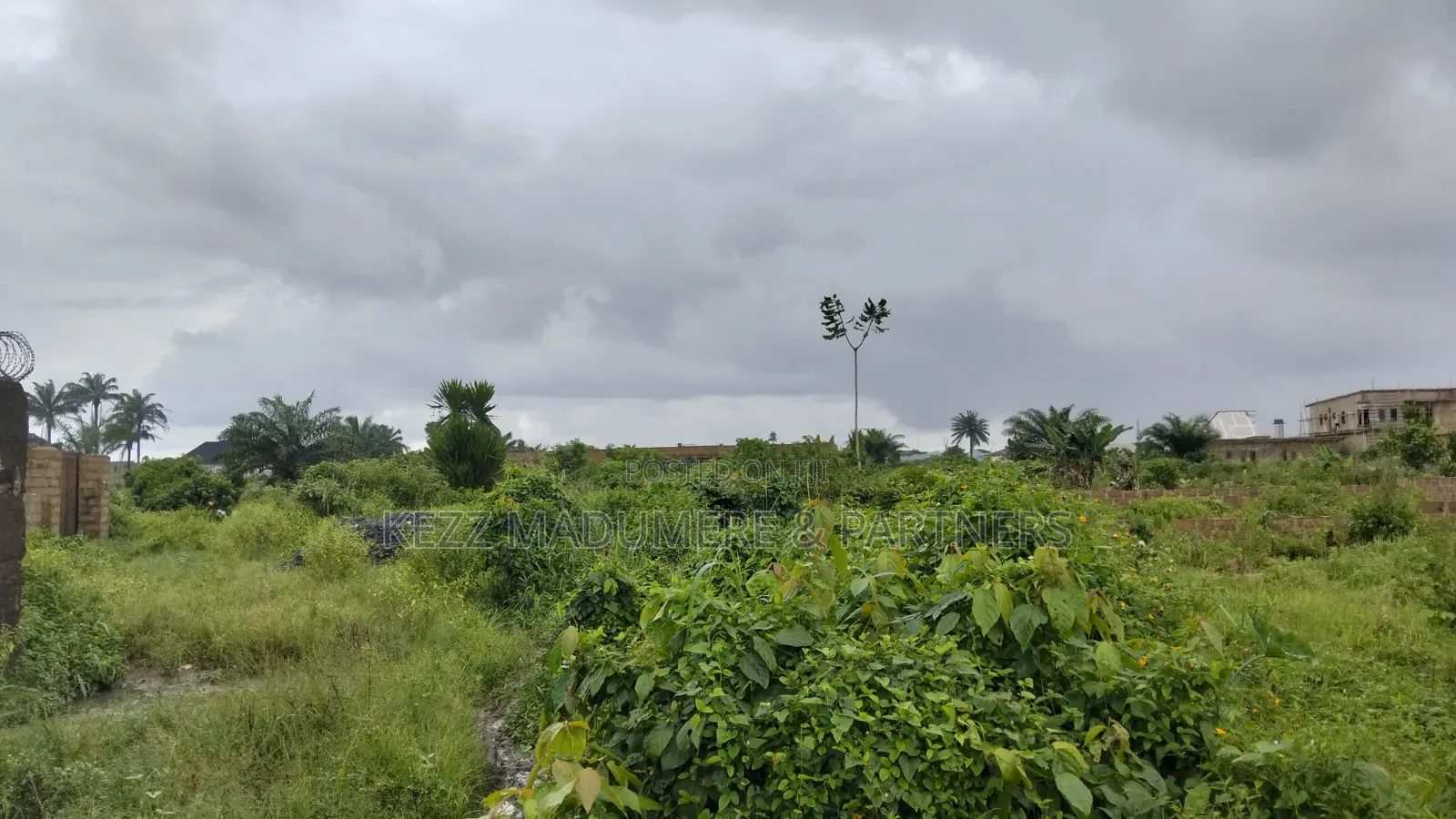 For Sale : 4 1⁄2 Plots Aba Owerri Road Naze Owerri in Owerri
