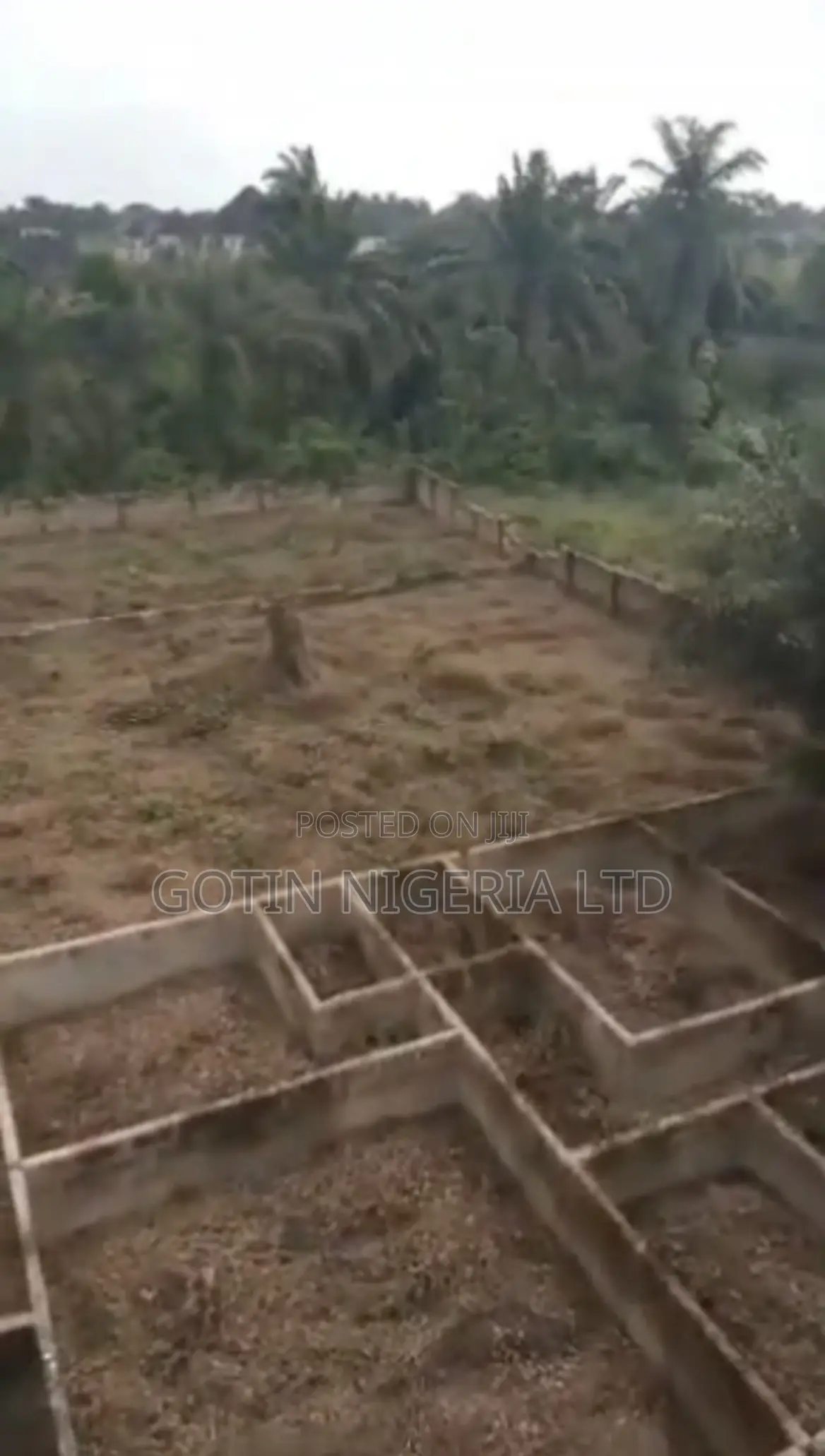50×100ft Affordable Land for Sale at Amagba – ₦6.5M Net in Benin City
