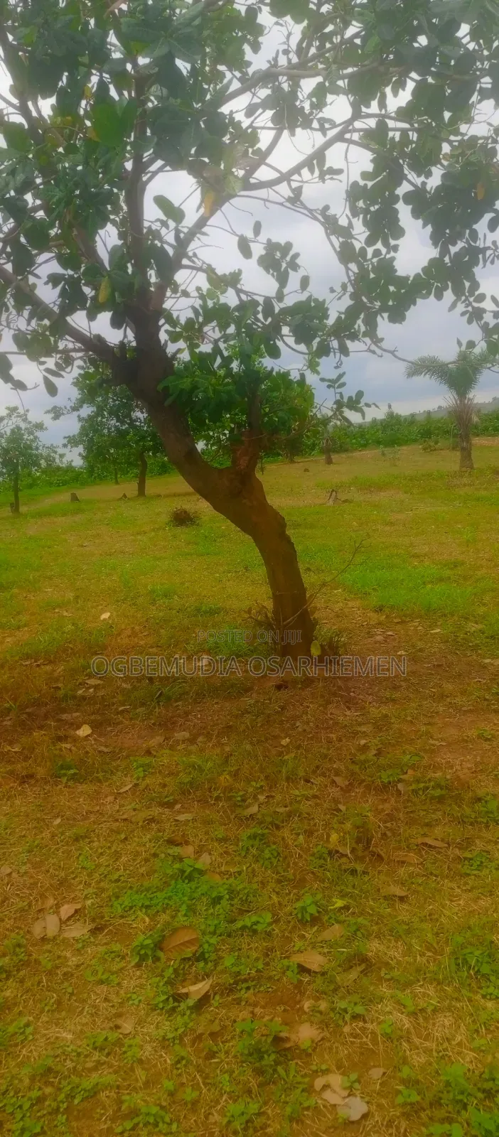 350sqm Estate Land for 3 Bedroom Bungalow+BQ With RofO in Kuje