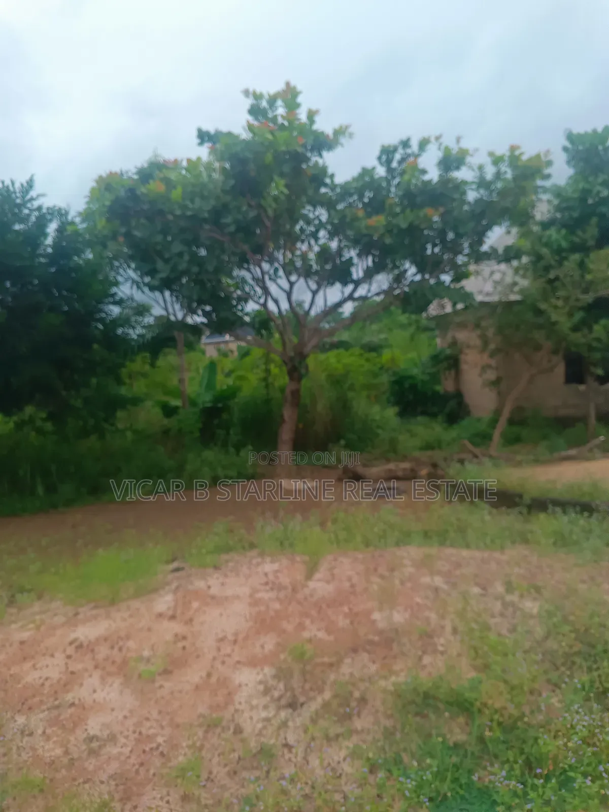 Full Plot of Land for Sale! Opposite Building Material Market in Abakaliki