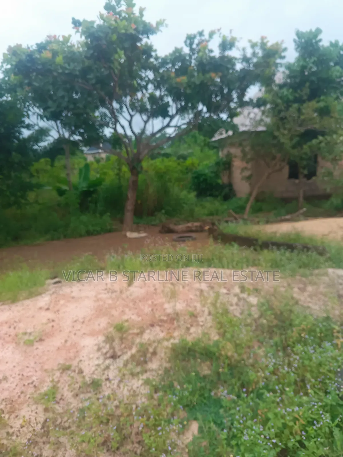 Full Plot of Land for Sale! Opposite Building Material Market in Abakaliki