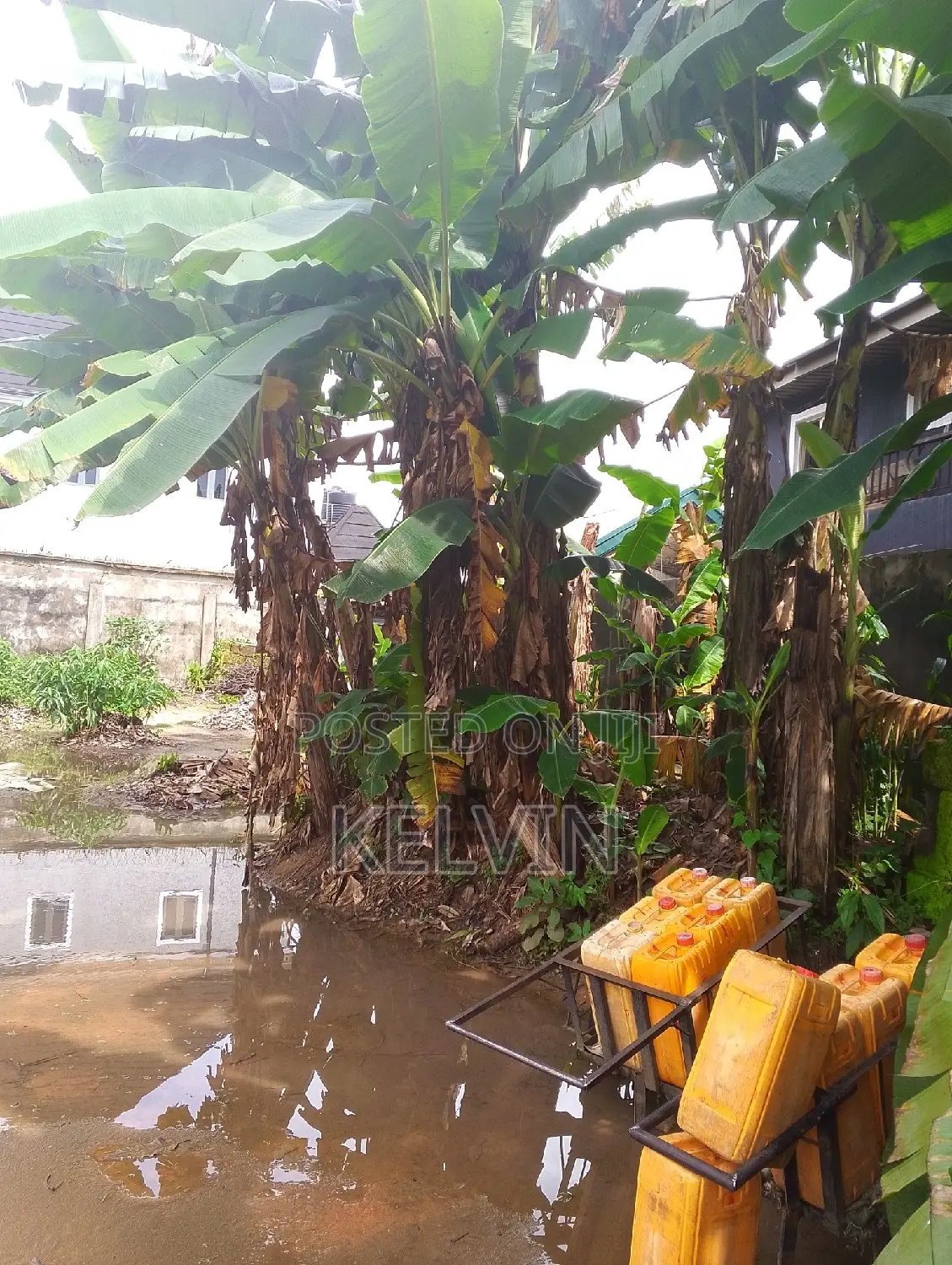 Furnished 4bdrm Bungalow in Osisioma Ngwa for sale in Osisioma Ngwa
