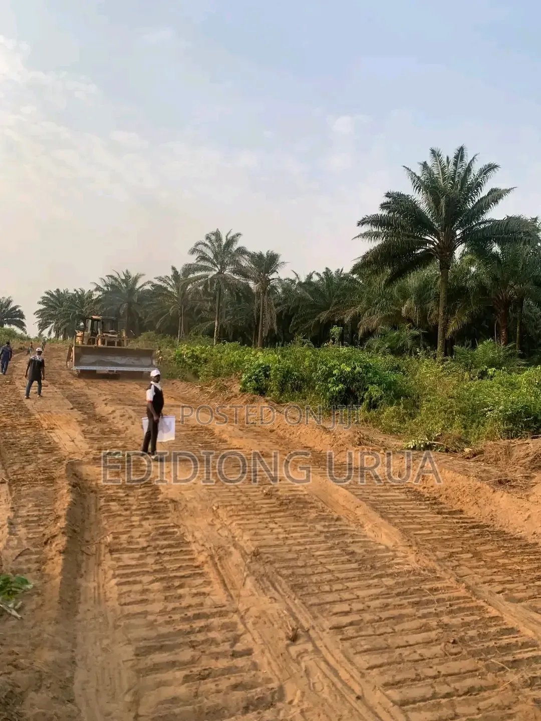Plots of Land for Sale in Calabar, Cross River State in Calabar