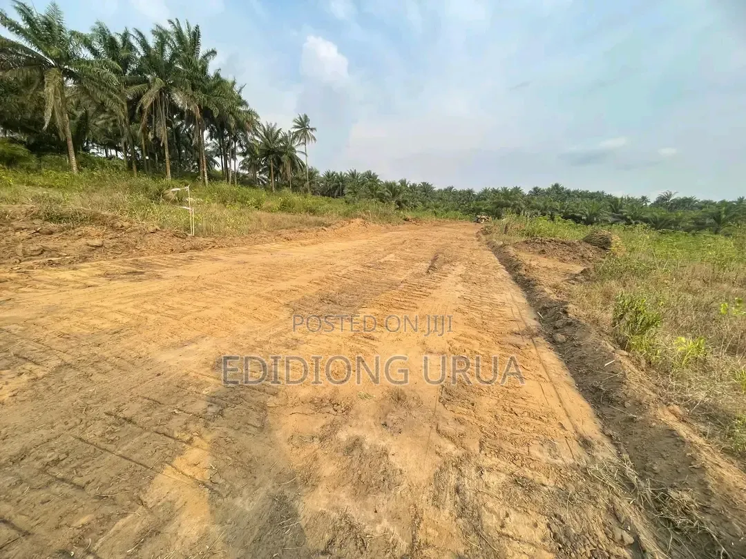 Plots of Land for Sale in Calabar, Cross River State in Calabar